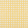 CANERY BEAU - INDOOR FABRIC SAMPLE - APRICOT & YELLOW