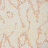MENTON - INDOOR FABRIC SAMPLE - APRICOT