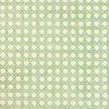 CANERY BEAU WALLPAPER - BASIL ON WHITE WEAVE GRASSCLOTH