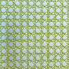 CANERY BEAU - OUTDOOR FABRIC SAMPLE - KIWI ON SKY