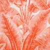 BEVERLY HILLS - INDOOR FABRIC SAMPLE - HIBISCUS PINK