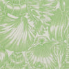NASSAU WALLPAPER SAMPLE - PISTACHIO