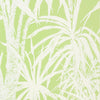 RAINFOREST WALLPAPER SAMPLE - White on Green