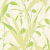 MEADOW REED WALLPAPER SAMPLE - LIME SPRITZ