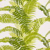 FERNS - INDOOR FABRIC SAMPLE - LIGHT GREENS ON WHITE