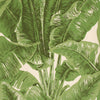 BEVERLY HILLS WALLPAPER SAMPLE - GREEN ON CREAM