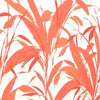 MEADOW REED - INDOOR FABRIC - CORAL