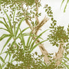 RAINFOREST WALLPAPER SAMPLE - Moss
