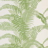 FERNS WALLPAPER SAMPLE - SAGE