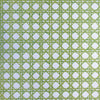 CANERY BEAU WALLPAPER SAMPLE - APPLE GREENS ON SKY