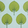 FAN TAN WALLPAPER SAMPLE - GREEN ON AQUA