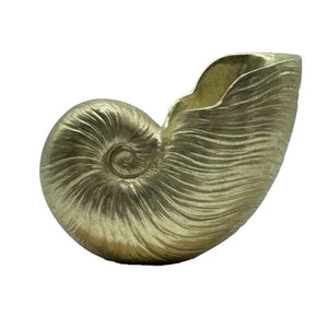 CARVED NAUTILUS SCULPTURE