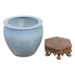 LARGE PALE BLUE JARDINERE ON CARVED WOOD STAND