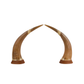 PAIR OF CHINOISERIE CARVED HORNS