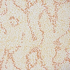 MENTON - INDOOR FABRIC - APRICOT