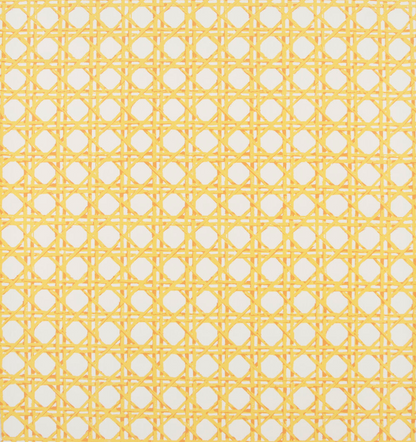 CANERY BEAU - INDOOR FABRIC SAMPLE