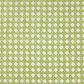 CANERY BEAU - INDOOR FABRIC SAMPLE