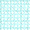 CANERY BEAU WALLPAPER - AQUA ON WHITE