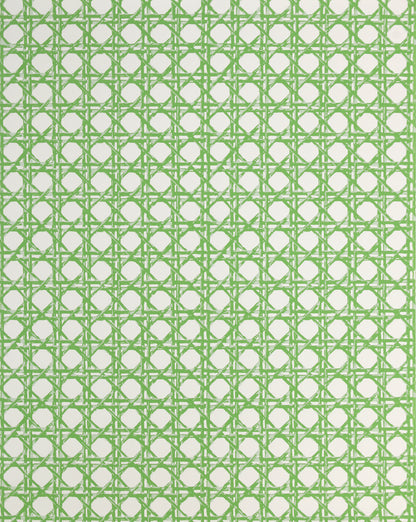 CANERY BEAU WALLPAPER