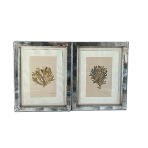 PAIR OF MIRRORED FRAMED CORAL GICLEE PRINTS