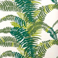 FERNS - INDOOR FABRIC SAMPLE