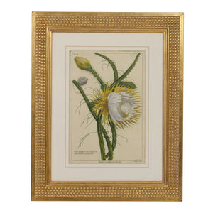 FLORAL CACTUS IN GOLD FRAME