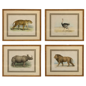 HANDCOLORED ETCHINGS OF AFRICAN ANIMALS MATTED IN GILT FRAMES, SET OF FOUR