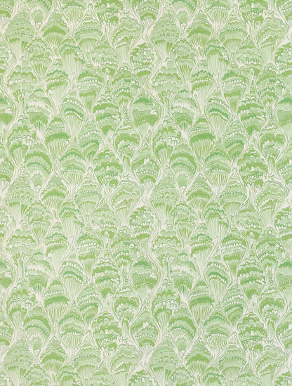COCKLESHELLS WALLPAPER SAMPLE