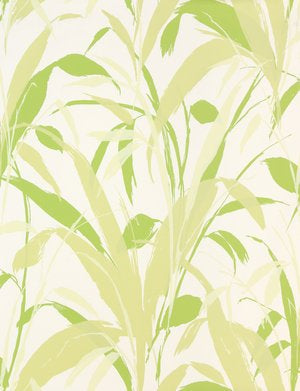 MEADOW REED WALLPAPER SAMPLE