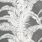 FERNS WALLPAPER