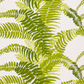 FERNS - INDOOR FABRIC SAMPLE