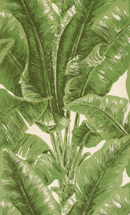 BEVERLY HILLS WALLPAPER SAMPLE