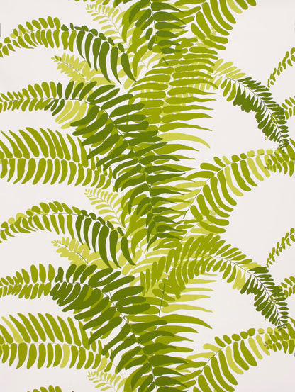 FERNS WALLPAPER