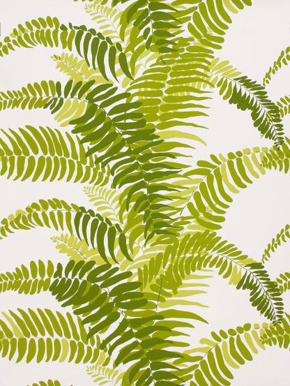 FERNS WALLPAPER SAMPLE