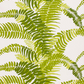 FERNS - OUTDOOR FABRIC SAMPLE