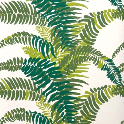 FERNS WALLPAPER