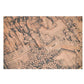 ASIAN COFFEE TABLE WITH INSET CARVED DETAILS