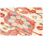 BLUE, CREAM AND CORAL HAND KNOTTED WOOL RUG