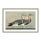 FRAMED GOOSE PRINT IN EARTH TONES