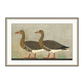 FRAMED GOOSE PRINT IN EARTH TONES