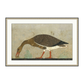 FRAMED GOOSE PRINT IN EARTH TONES