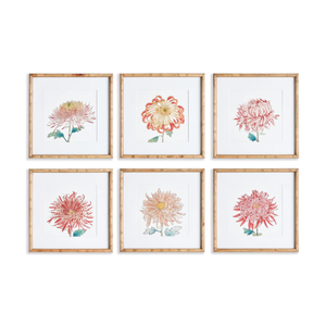 CORAL CHRYSANTHEMUM PRINT IN FAUX BAMBOO FRAME