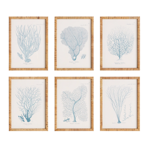 SEA FAN CORAL PRINT IN RATTAN WRAPPED FRAME