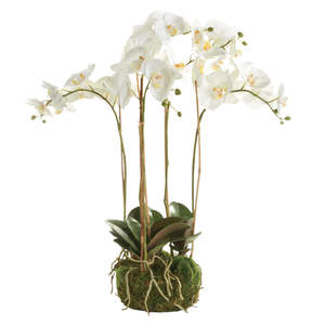 FAUX WHITE PHALAENOPSIS ORCHID, 25"