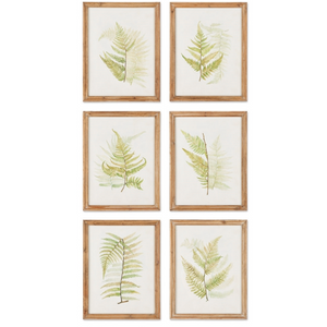 GREEN FERN STUDY ART PRINT IN WOOD FRAME