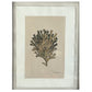 PAIR OF MIRRORED FRAMED CORAL GICLEE PRINTS