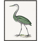 VIRIDESCENT BIRD FORM IN BAMBOO FRAME