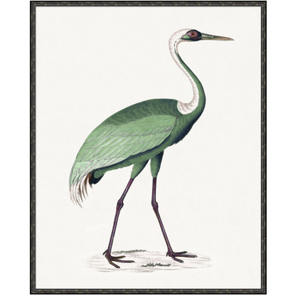 VIRIDESCENT BIRD FORM IN BAMBOO FRAME