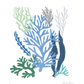 COLLAGE OF CORALS IN SHADES OF BLUE