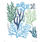 COLLAGE OF CORALS IN SHADES OF BLUE
